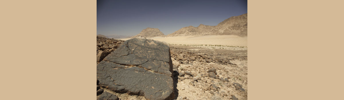 Stories in Stone